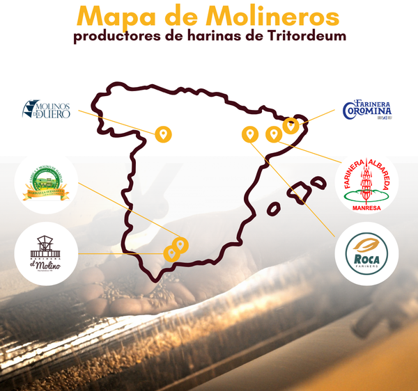 canaldis-vivagran-tritordeum-brionut-novedad-bolleria-saludable-panaderias-listado-mapa