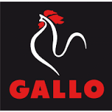 CNPastasGallo03012017
